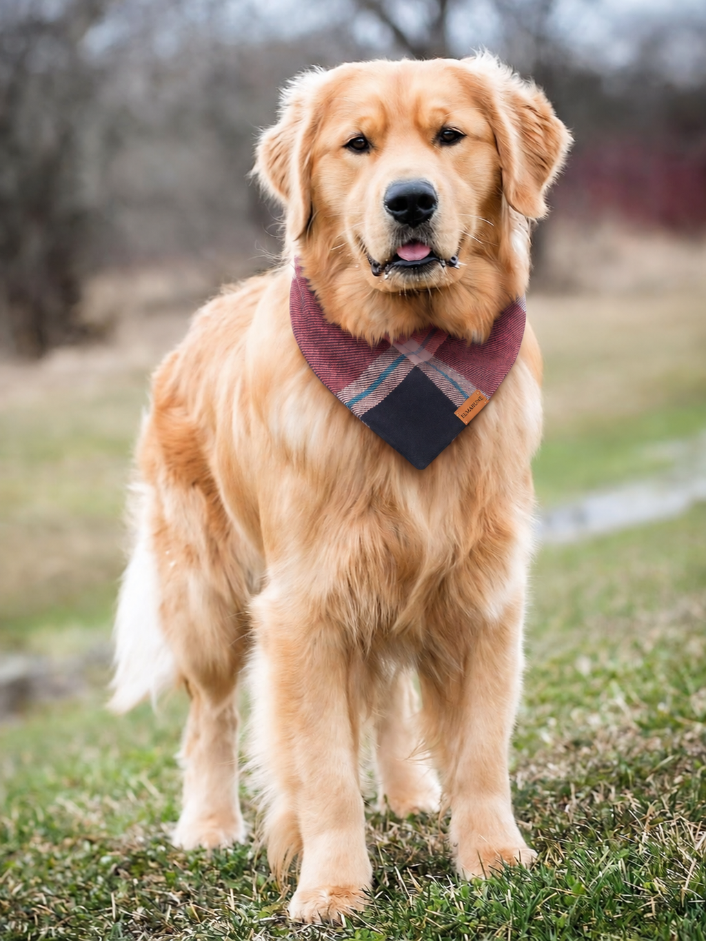 Terracotta Plaid